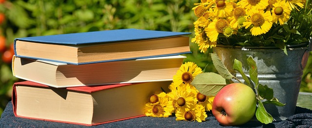 Un livre pour l’été